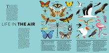 Load image into Gallery viewer, THE SKY (LASERCUT / FLAP BOOK)
